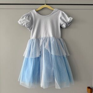 Hanna Andersson Disney Princess Cinderella Tulle Dress (5)